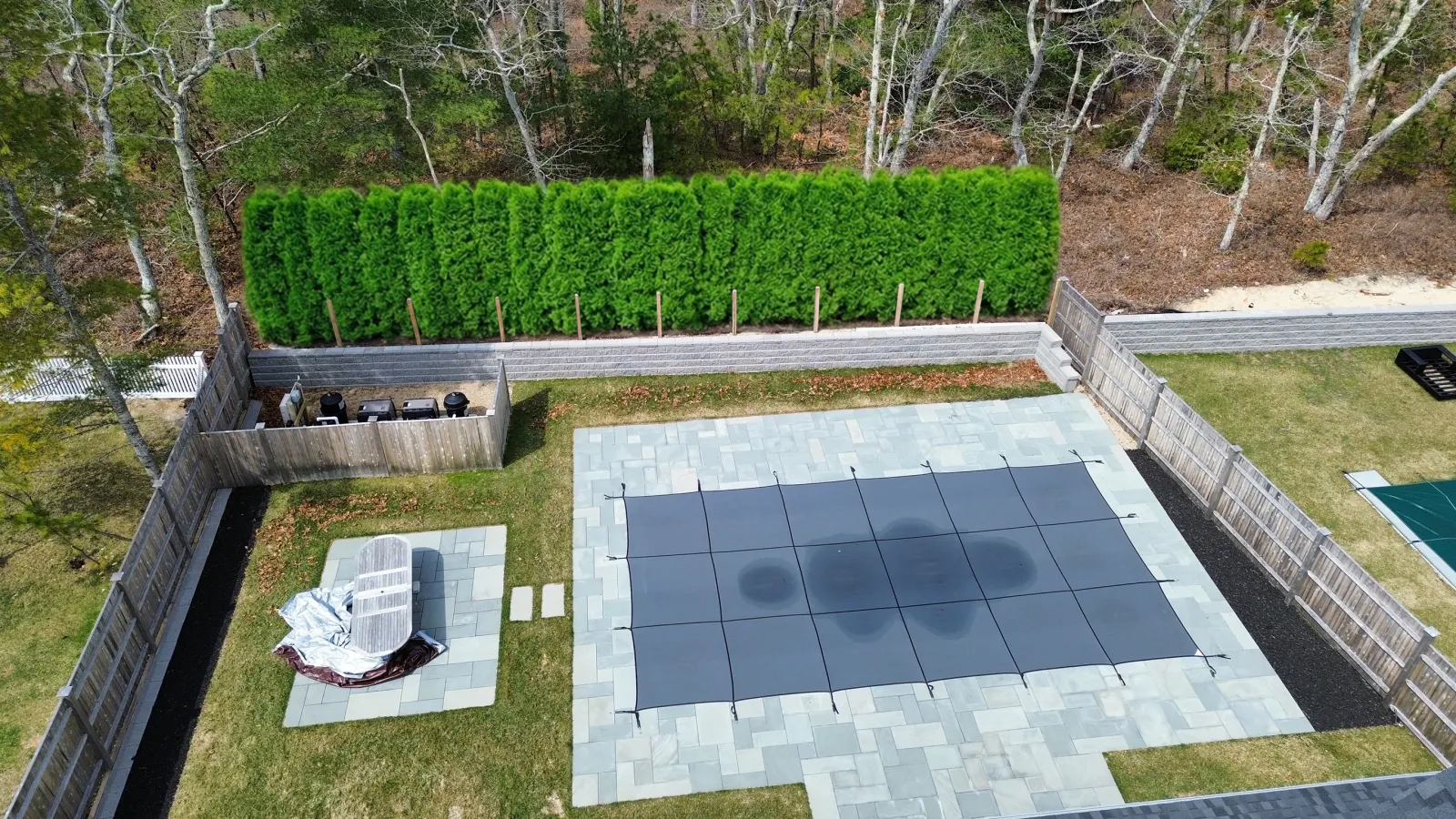 Arborvitae privacy screen at the property edge