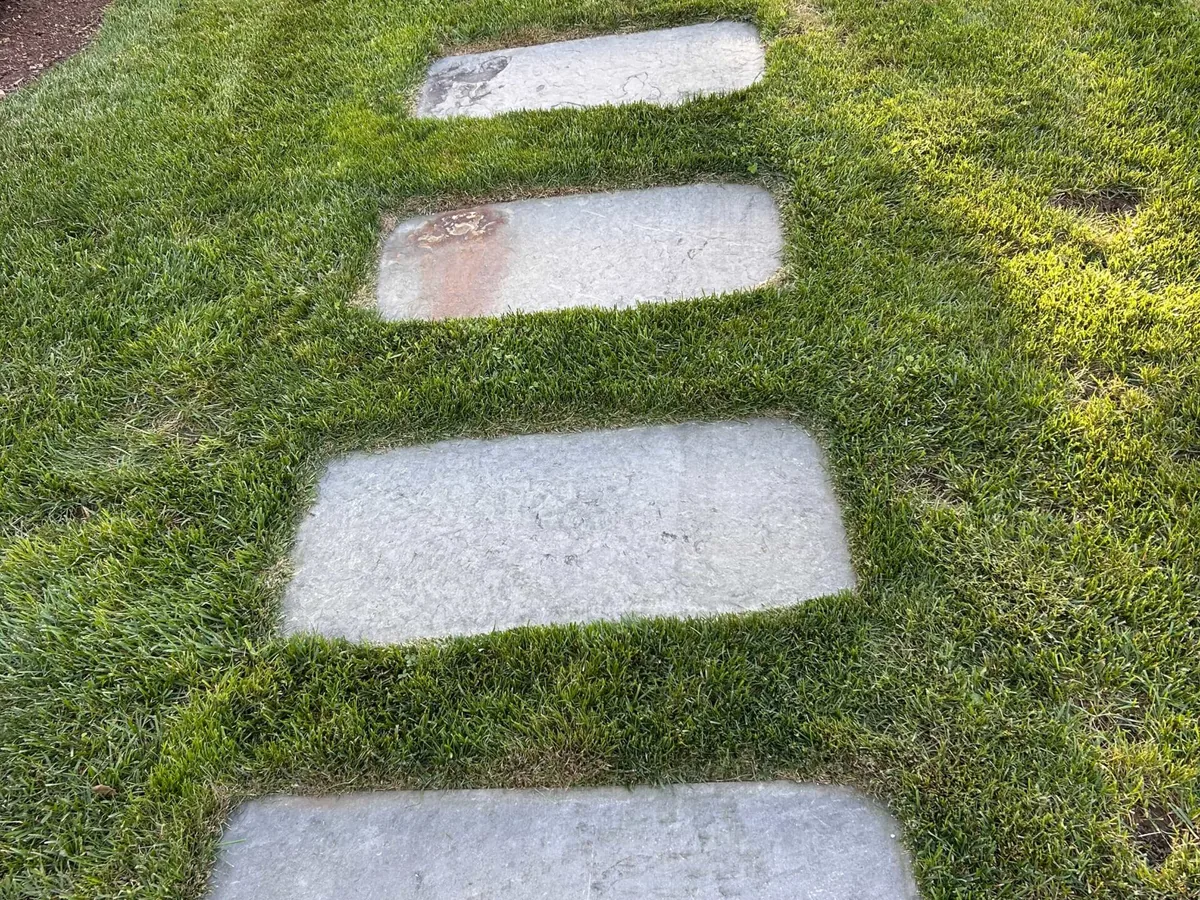 Bluestone steppers through lawn on Martha's Vineyard