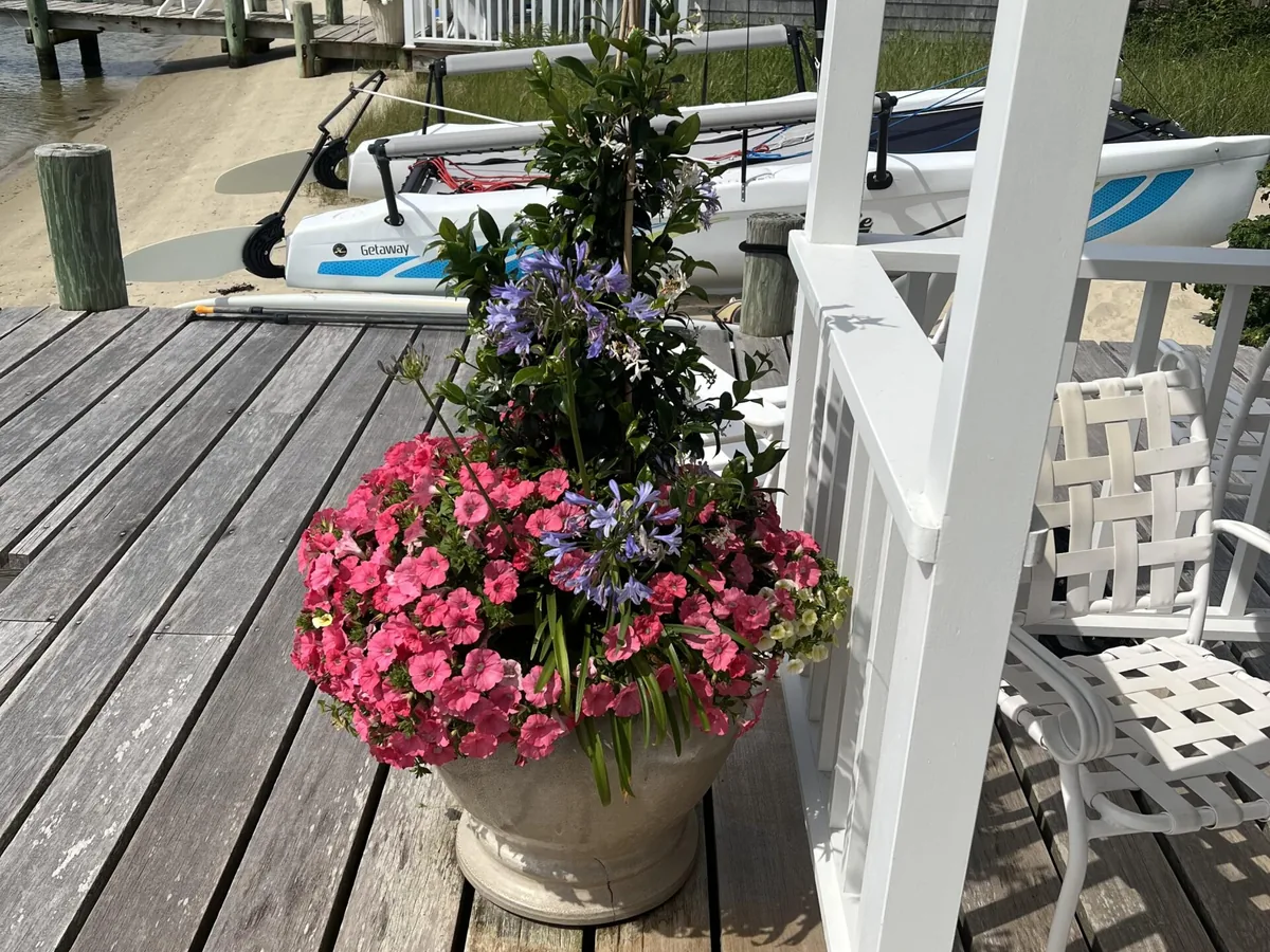 Seasonal porch containers on Martha's Vineyard