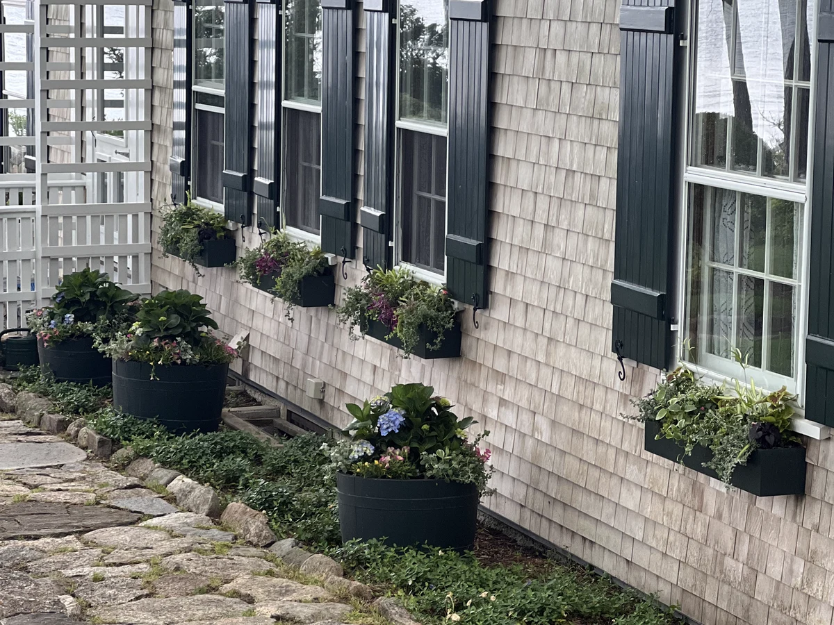 Window box row along a stone path on Martha's Vineyard