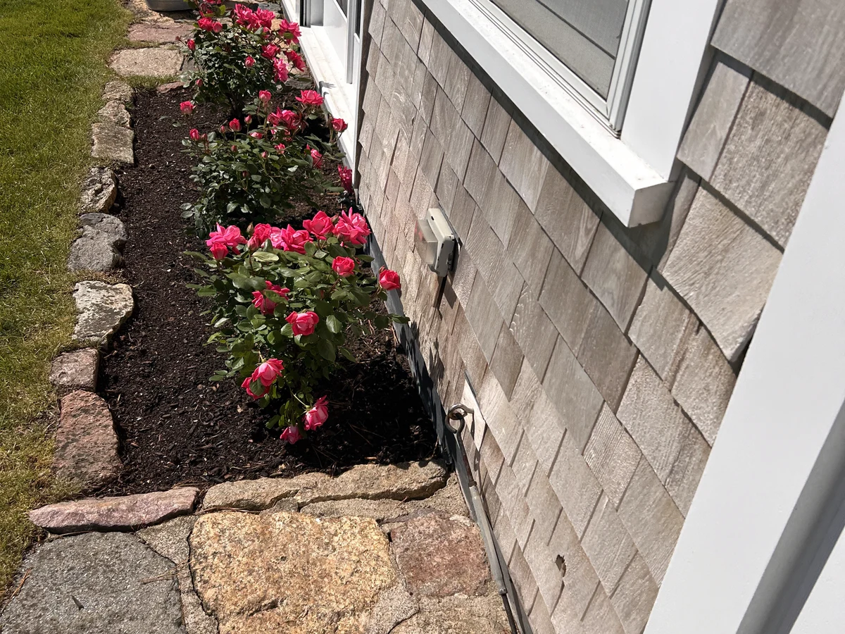 Stone-edged rose bed along the foundation on Martha's Vineyard