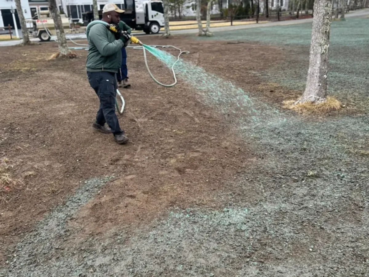 Spraying hydroseed slurry on Martha's Vineyard