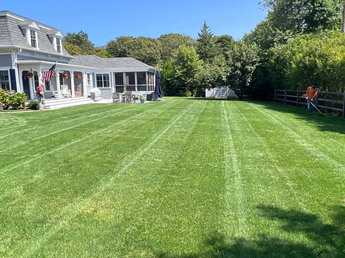 Crisp mowing stripes on Martha's Vineyard