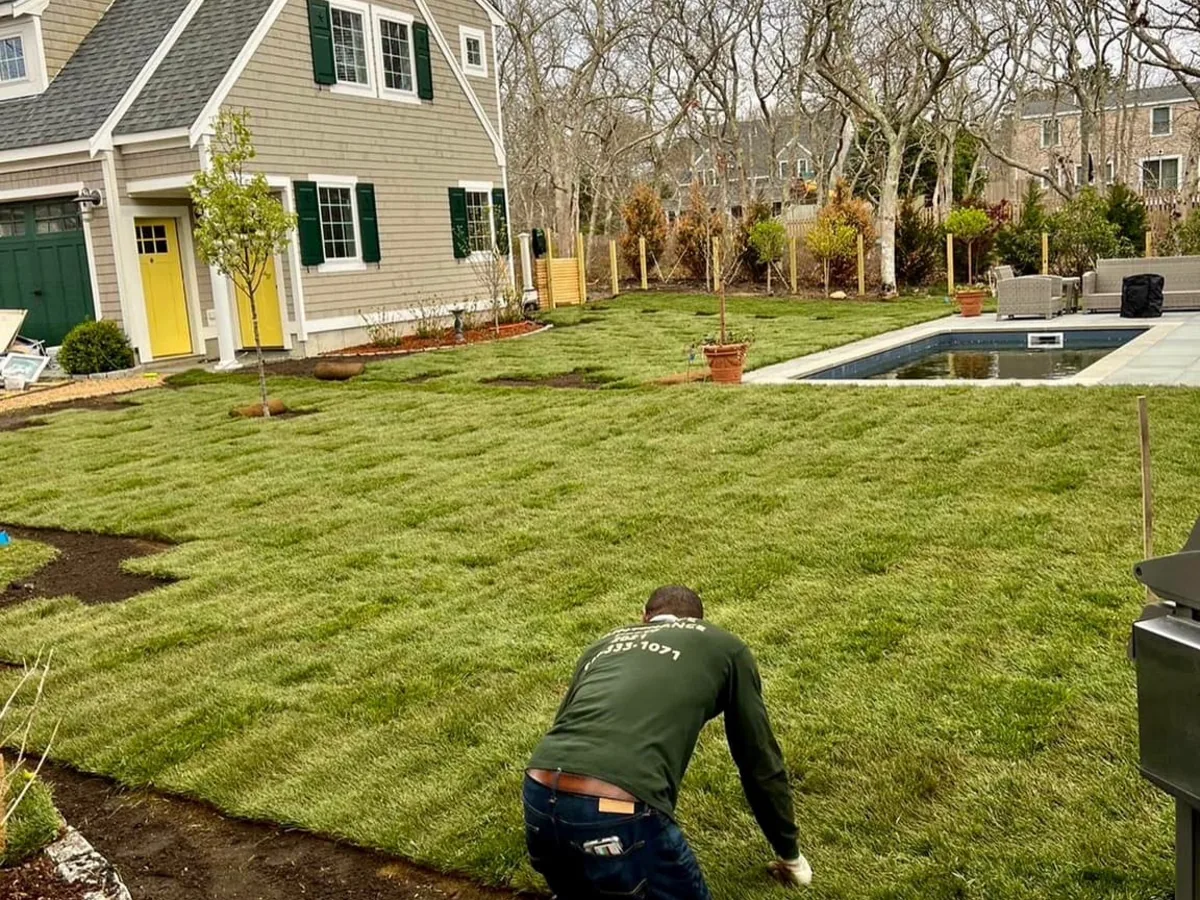 Fresh sod on a new build on Martha's Vineyard