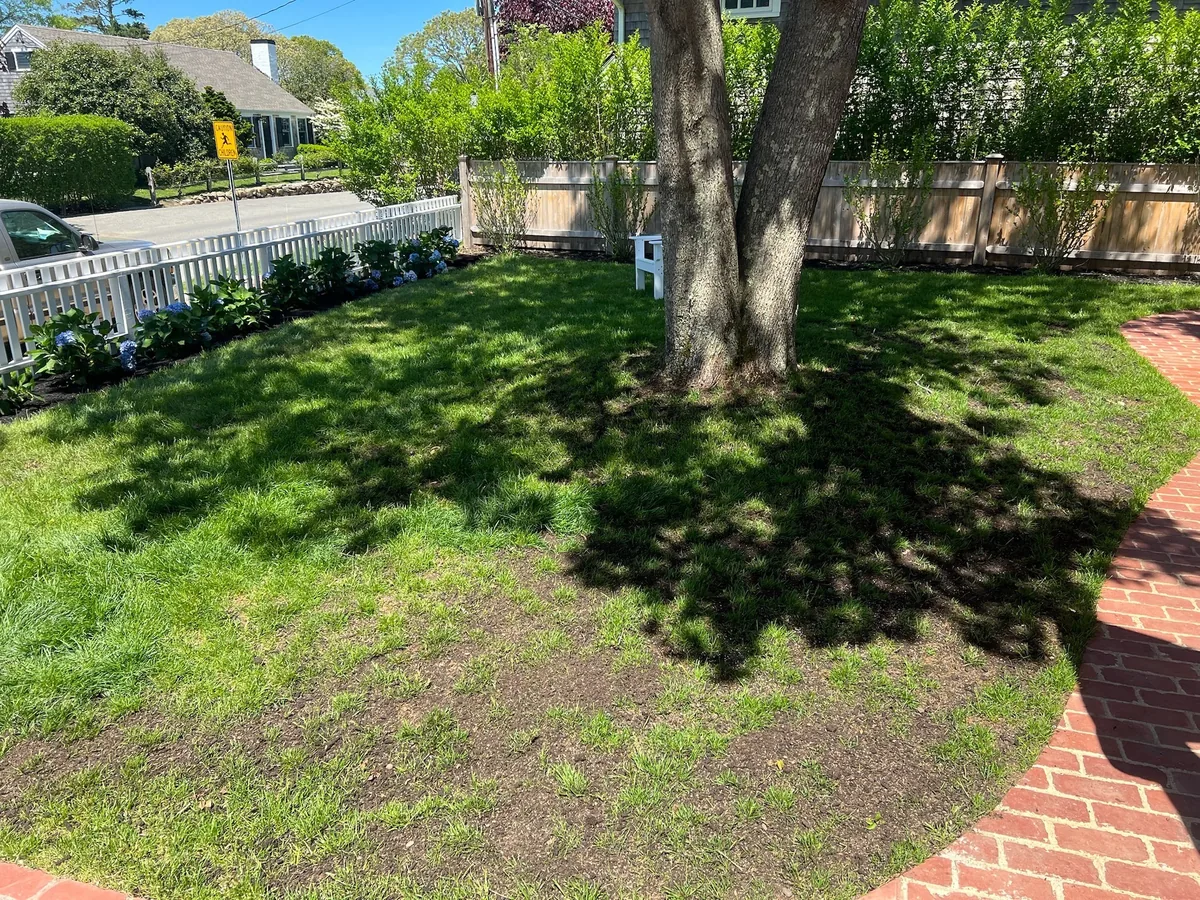 Established lawn and borders on Martha's Vineyard