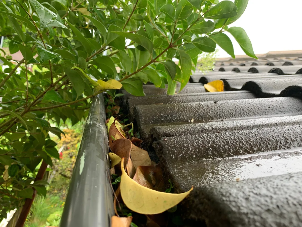 Gutter cleaning on a Martha's Vineyard home