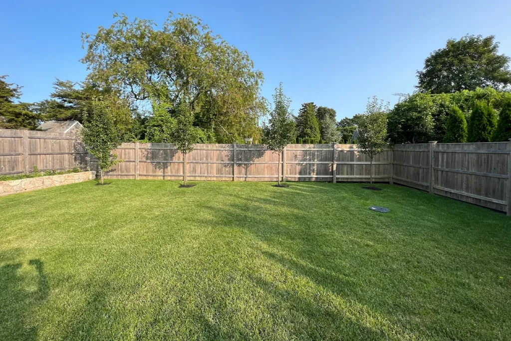 Healthy lawn after early fall repair on Martha’s Vineyard